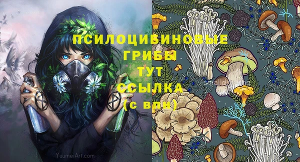 амф Белокуриха
