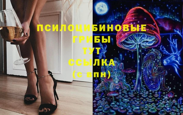 амф Белокуриха