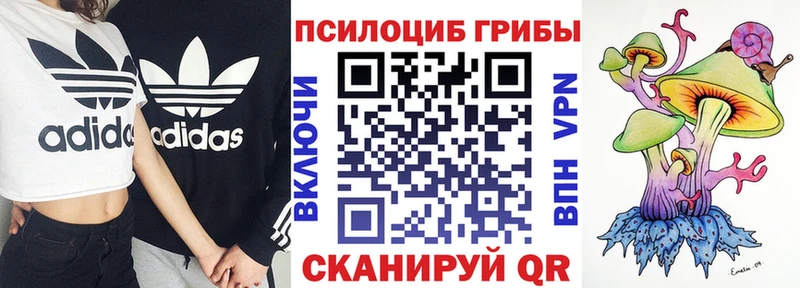 Галлюциногенные грибы Magic Shrooms  Купить где  Барнаул 